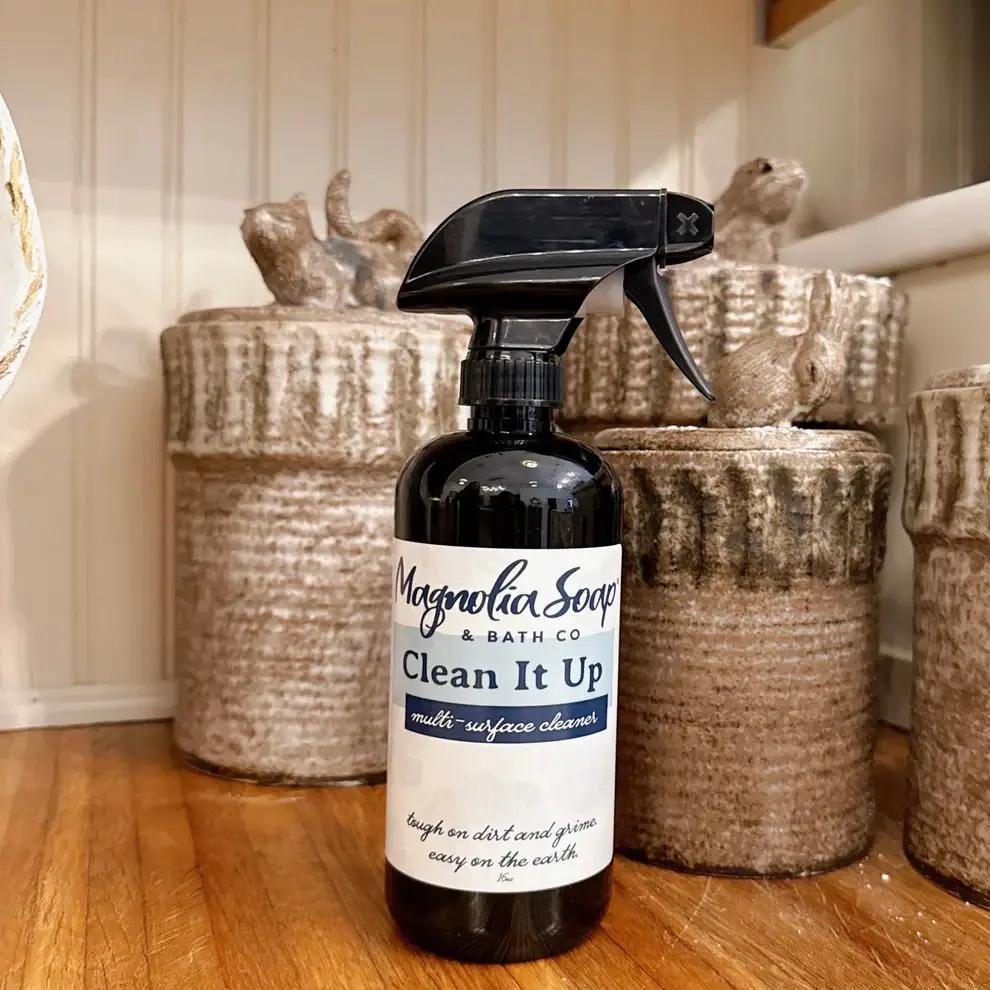 Clean It Up Spray