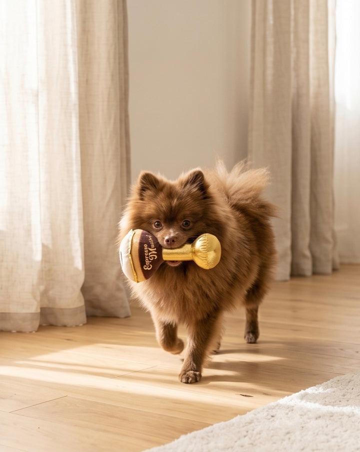 Espresso Muttini by Haute Diggity Dog