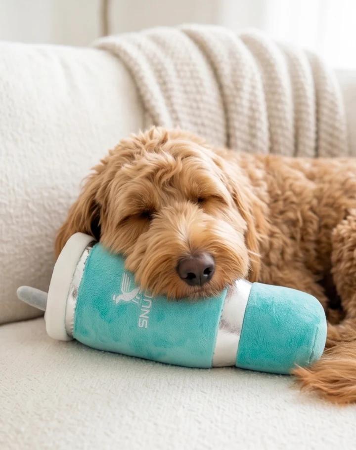 Snuggly Cup - Tealby Haute Diggity Dog