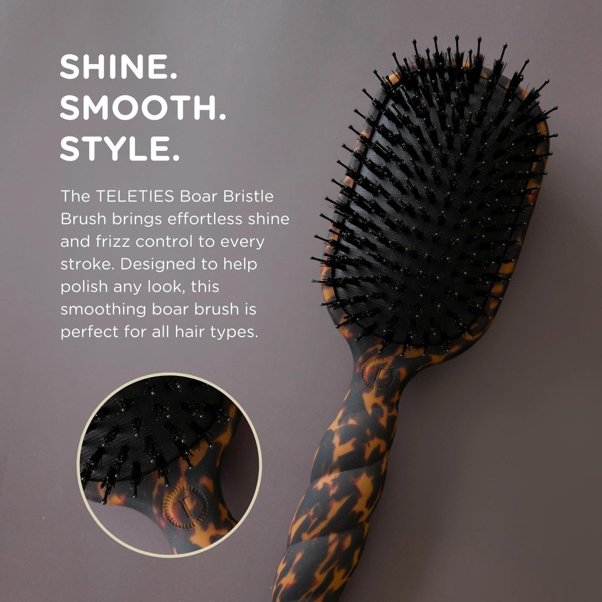 Boar Brush | Full Size | Tortoise