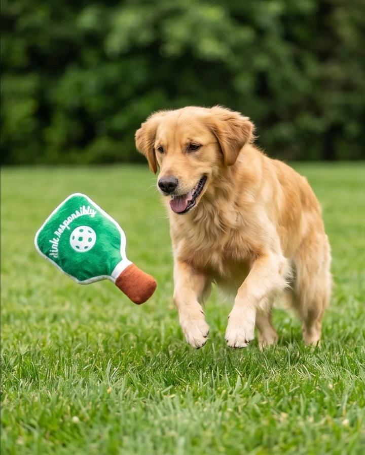 Green Stripe Pickleball Paddle by Haute Diggity Dog