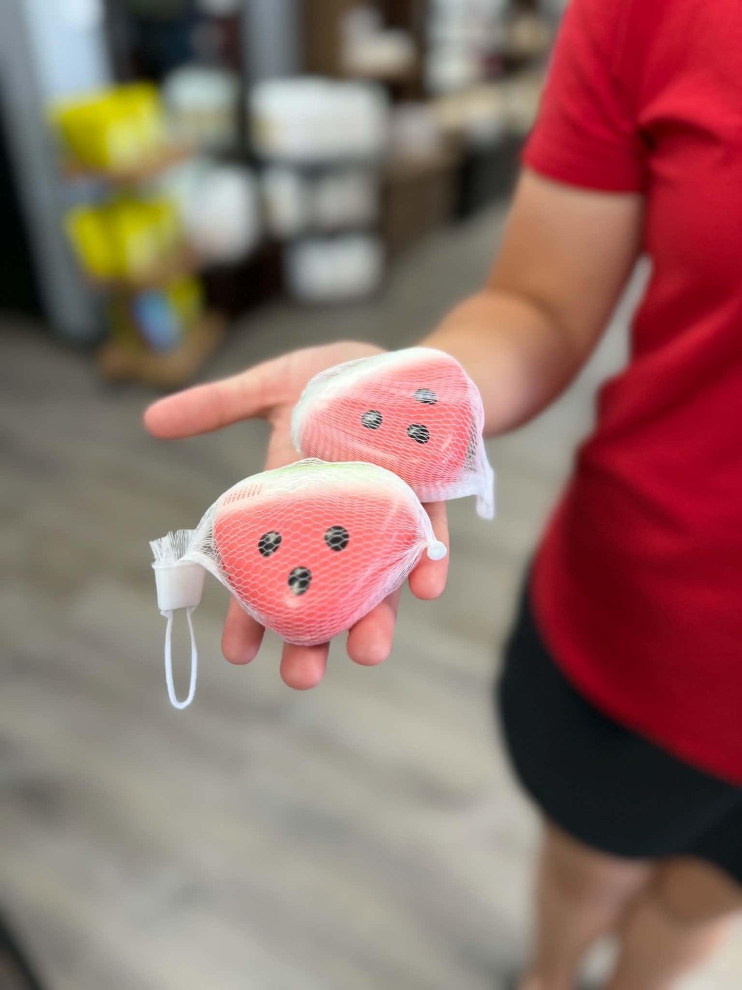 Small Watermelon Squishy