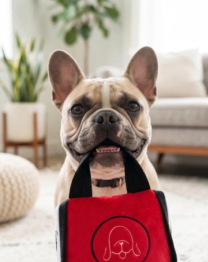 Chewlulemon Tote by Haute Diggity Dog